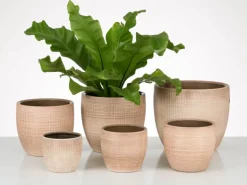 Scheurich Übertopf 866 Ø 14 cm Canela