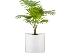 Scheurich Übertopf 828 Ø 12 cm Panna