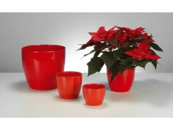 Scheurich Übertopf 920 Ø 14 cm Red