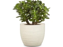 Scheurich Übertopf 866 Ø 16 cm Vainilla