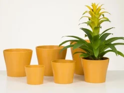 Scheurich Übertopf 808 Ø 13 cm x 11 cm Curcuma