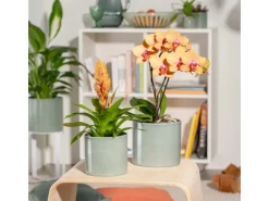 Scheurich Übertopf 828 Ø 14 cm x 13 cm Sage Grün