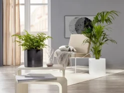 Scheurich Übertopf 828 Ø 23 cm x 21 cm Glass Grau