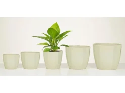 Scheurich Übertopf 939 Ø 10 cm x 9 cm Green Elegance