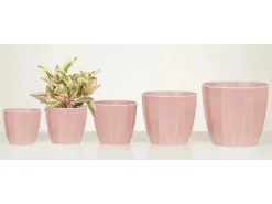 Scheurich Übertopf 939 Ø 12 cm x 11 cm Rose Elegance