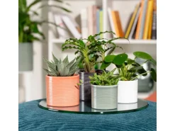 Scheurich Übertopf 828 Classic Mix Ø 9 cm x 8,5 cm Farbenauswahl