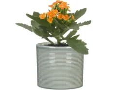 Scheurich Übertopf 828 Classic Mix Ø 9 cm x 8,5 cm Farbenauswahl