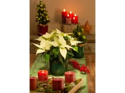 Scheurich Übertopf Keramik Ø 12,9 cm x 11,9 cm Mystic Green Volumen 0,814 l