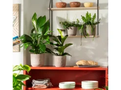 Scheurich Übertopf La Natura 981 Ø 24 cm x 21,9 cm Travertino