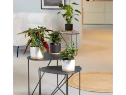 Scheurich Übertopf mit Holzuntersetzer 799 Ø 22 cm Weiß Matt