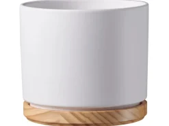 Scheurich Übertopf mit Holzuntersetzer 799 Ø 19 cm Weiß Matt