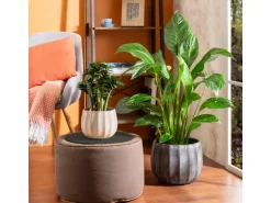 Scheurich Übertopf Runa 784 Ø 14 cm x 11 cm Washed Grau