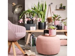 Scheurich Übertopf Solido 900 Ø 21 cm x 19,3 cm Rosea