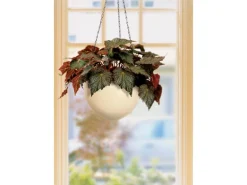 Scheurich Hängeampel 845 Ø 18 cm Creme