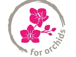 Scheurich Orchideentopf 620 Ø 13 cm x 15 cm Salbei