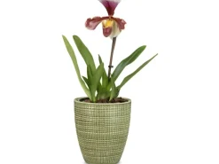 Scheurich Pflanzgefäß 667 Ø 13 cm Menta