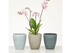 Scheurich Pflanzgefäß 620 Ø 13 cm x 15 cm Dark Stone