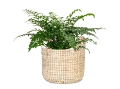 Scheurich Pflanzgefäß 514 Ø 32 cm x 29,5 cm Weiß