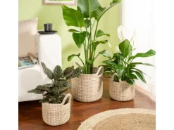 Scheurich Pflanzgefäß 514 Ø 32 cm x 29,5 cm Weiß