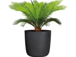 Scheurich Pflanzgefäß Linetto Ø 38,6 cm Stony Black