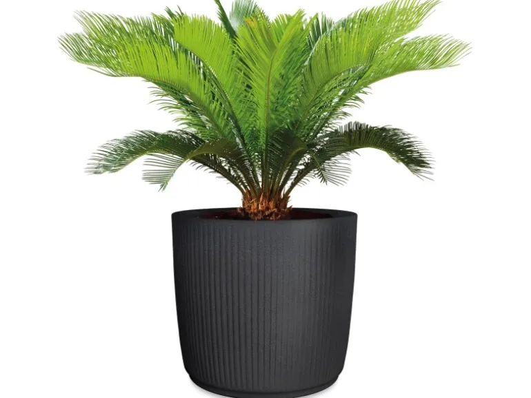 Scheurich Pflanzgefäß Linetto Ø 38,6 cm Stony Black