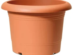 Scheurich Pflanzgefäß Oliver Ø 40 cm Terracotta
