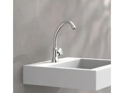 Schütte Stand-Schwenkventil Carneo Chrom