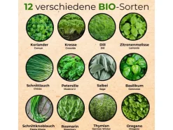 Seedhero BIO Kräutersamen Set Mit 12 Sorten