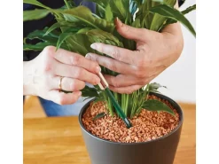 Seramis Gießanzeiger Klein 2er Set