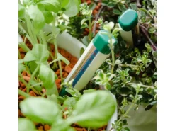 Seramis Gießanzeiger Klein 2er Set