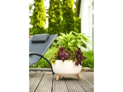 Siena Garden Pflanzgefäß Oslo Beige Ø 40x25 cm