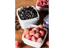 SmartStore Gefrierdose Frost 0,75 l Lavendel 4 Stück