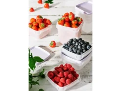 SmartStore Gefrierdose Frost 0,75 l Lavendel 4 Stück