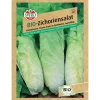 Sperli Bio Zichoriensalat
