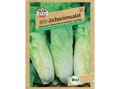 Sperli Bio Zichoriensalat