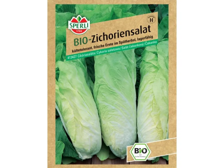 Sperli Bio Zichoriensalat