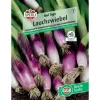 Sperli Lauchzwiebel "Red Toga" (Allium fistulosum)
