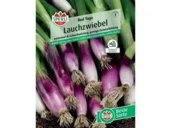 Sperli Lauchzwiebel "Red Toga" (Allium fistulosum)