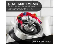 Steinborg SB-7020 Edelstahl Standmixer 1,5 Liter BPA-Frei 800 Watt