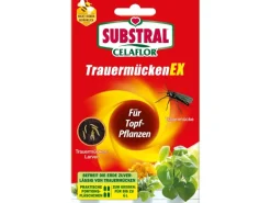 Substral Celaflor TrauermückenEx 4 x 7,5 ml