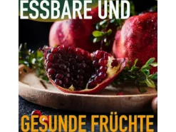 Sunny-Tree Granatapfelbaum  Winterharter Obstbaum Punica Granatum Höhe 160 Zentimeter