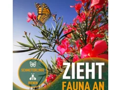 Sunny-Tree Oleander Farbe Rot  80/100 cm  Nerium Oleander Pflanze für Draußen   Immergrün im Winter  Mediterrane Pflanze