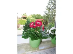 Topfpflanzstab 50 cm 10 Stück