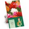 Tulipa Ballroom Queen Mischung 20 Stück Tulipa double early Ballroom Queen