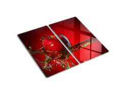 Tulup Herdabdeckplatte SET aus 2 Stück 30x52 cm Glas-Servierbrett Küchenutensilien Spritzschutz Apfel und Wasser