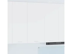 vidaXL Hängeschrank mit Tür Riga Weiß 50 x 31 x 100 cm Holzwerkstoff 884346