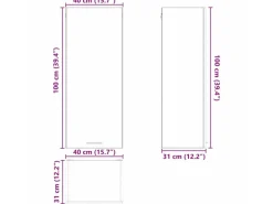 vidaXL Hängeschrank mit Tür Riga Weiß 40 x 31 x 100 cm Holzwerkstoff 884338