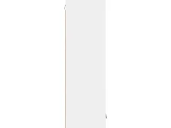 vidaXL Hängeschrank mit Tür Riga Weiß 40 x 31 x 100 cm Holzwerkstoff 884338