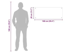 vidaXL Küchenrückwand Schwarz 100 x 40 cm Gehärtetes Glas 42018041