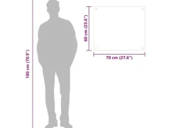 vidaXL Küchenrückwand Schwarz 70x60 cm Hartglas 249483